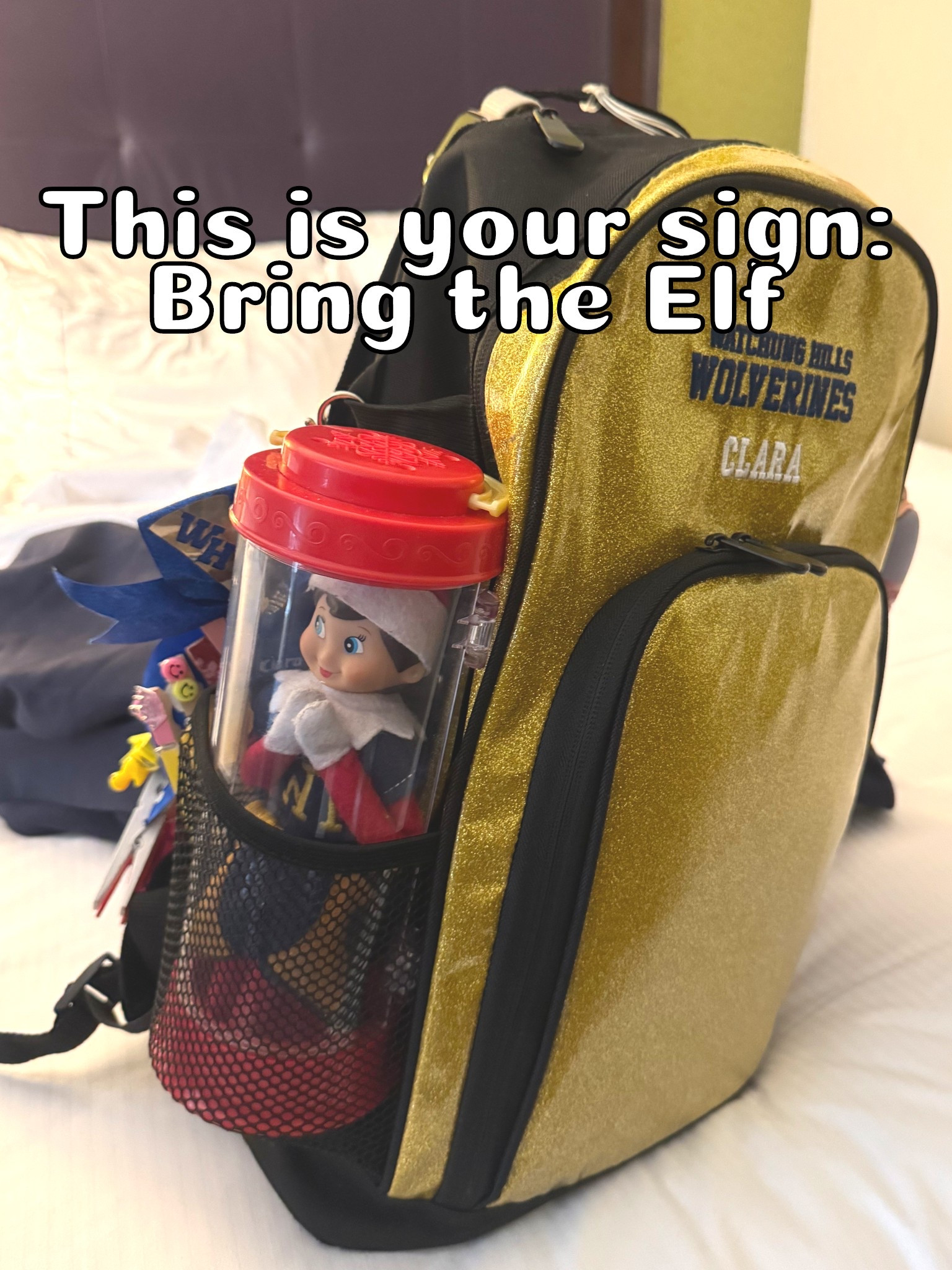 The only place left with an elf carrying case in stock! Bring your elf along for some Christmas fun ❤️

#LTKmomlife #LTKKids #LTKHoliday