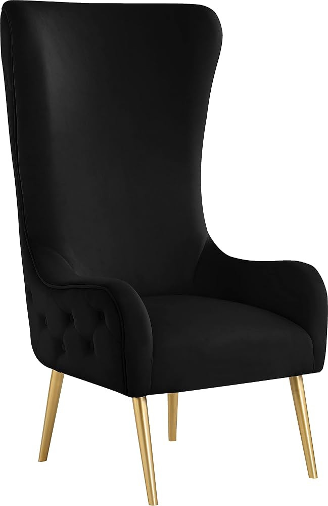 Meridian Furniture 536Black Alexander Collection Modern | Contemporary Velvet Upholstered Accent ... | Amazon (US)