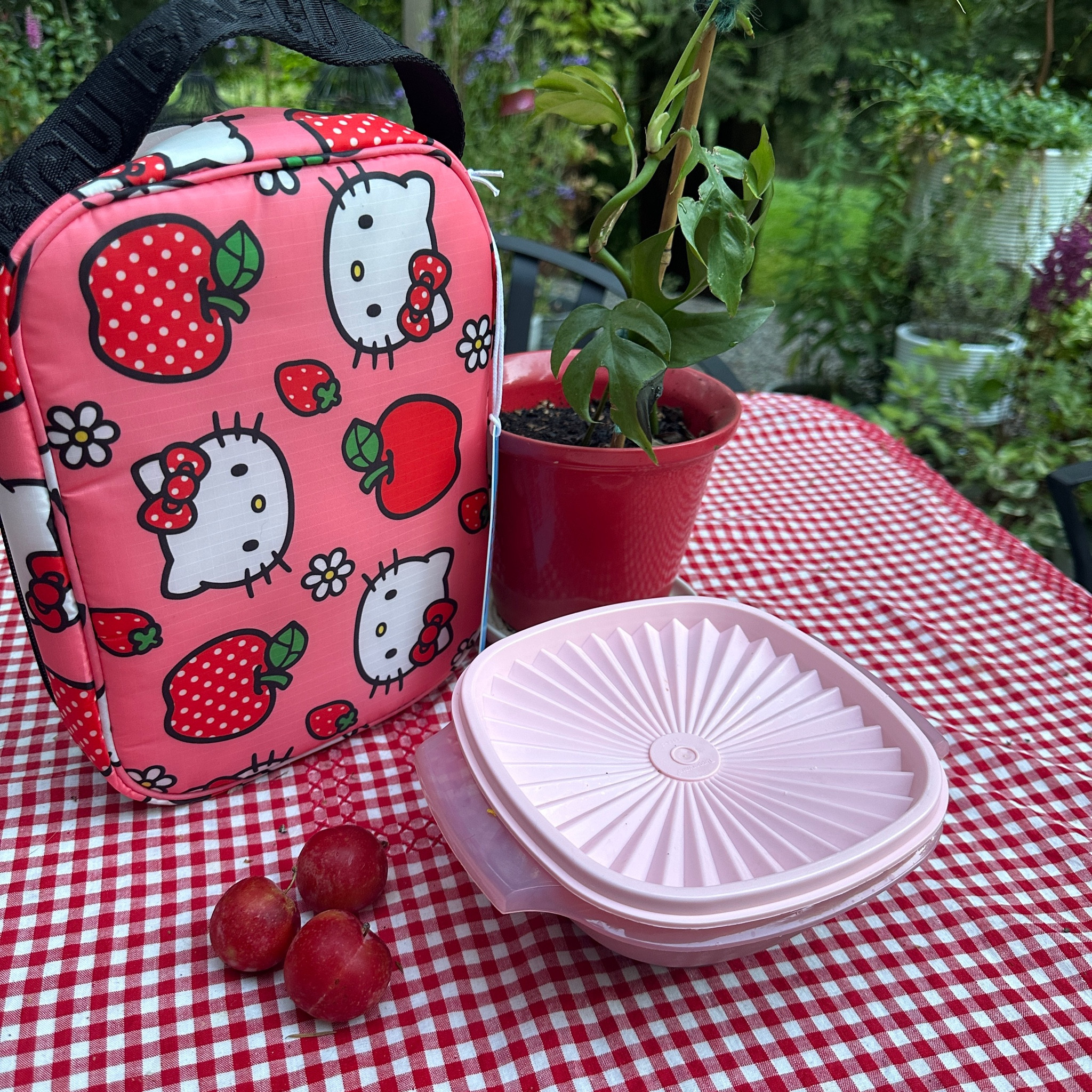 Cutest new lunchbox from Hello Kitty x Baggu and pink Tupperware! 

#LTKFindsUnder50 #LTKHome