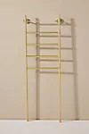 Mikayla Lucite Storage Ladder | Anthropologie (US)