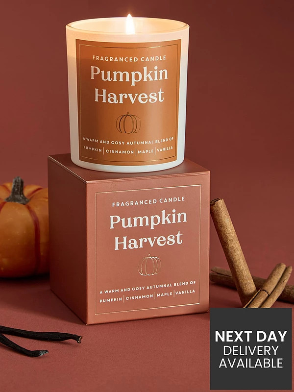 Very Home Pumpkin Pie Candle | Very (UK)