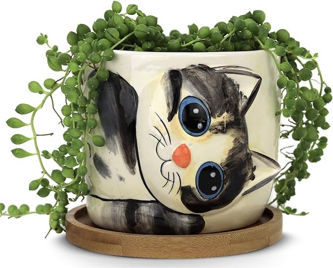 Window Garden Cat Planter - Large Kitty Pot for Indoor House Plants, Succulents, Flowers and Herb... | Amazon (US)