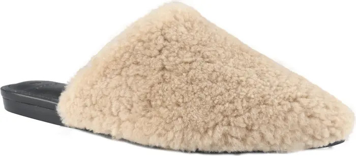 Sabrinna Genuine Shearling Mule | Nordstrom