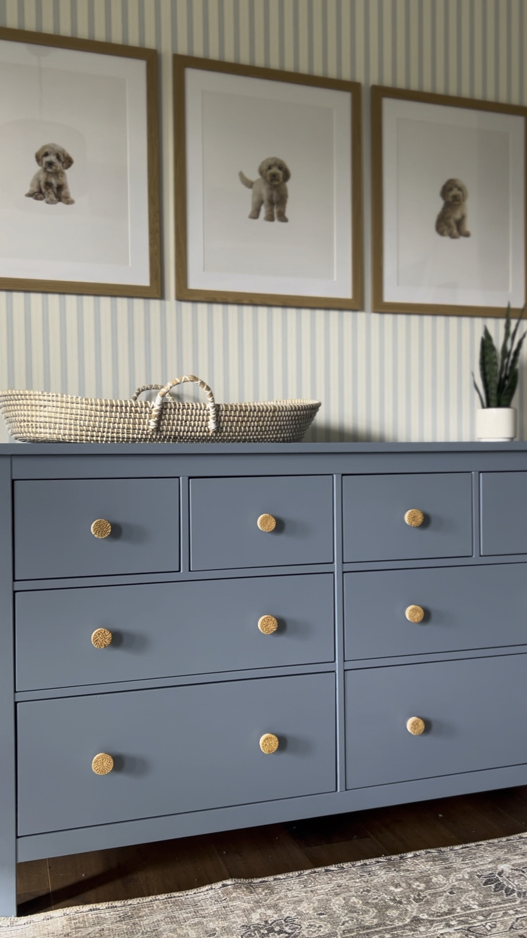 Nursery design baby boy bedroom dresser knobs hardware rattan puppy prints pictures matted frames Amazon and Etsy finds changing table kids bedroom 

#LTKbaby #LTKkids #LTKhome