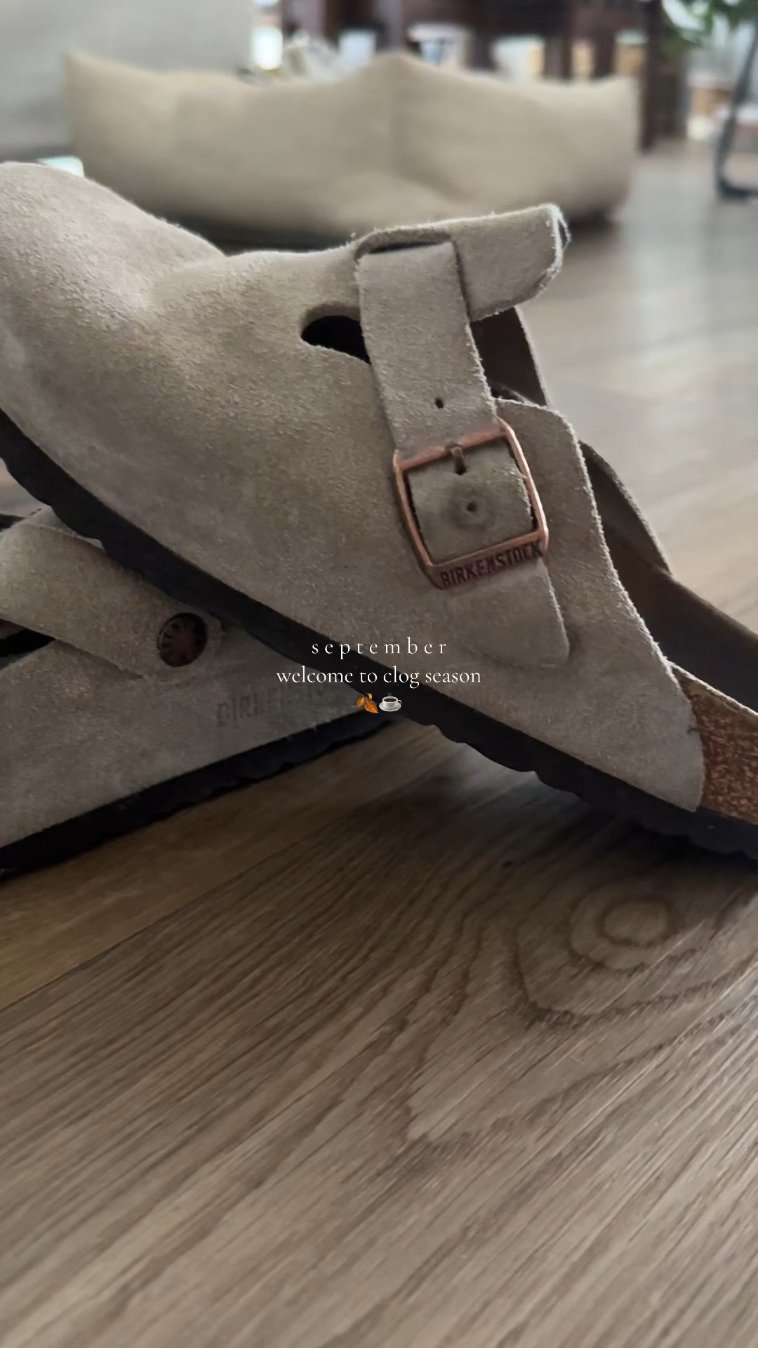 #LTKFallSale #LTKSeasonal #LTKShoeCrush