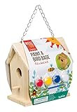 Beetle & Bee Paint A Bird Base by Toysmith, Backyard Birdhouse Kit, DIY Arts & Crafts Gardening F... | Amazon (US)