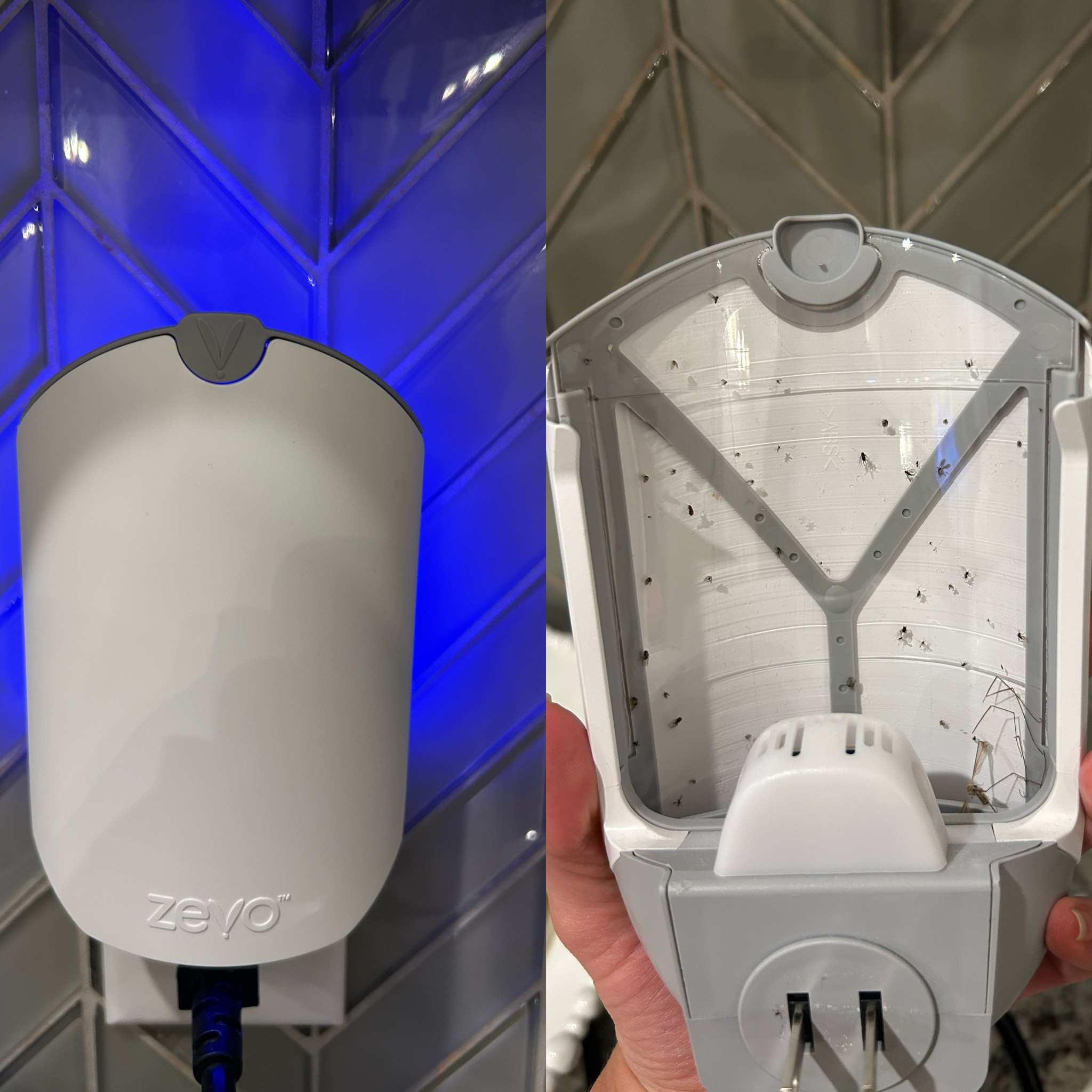 Spring indoor bug trap
Zevo, gnat, fruit fly house fly trap 

#LTKHome #LTKSeasonal #LTKFamily