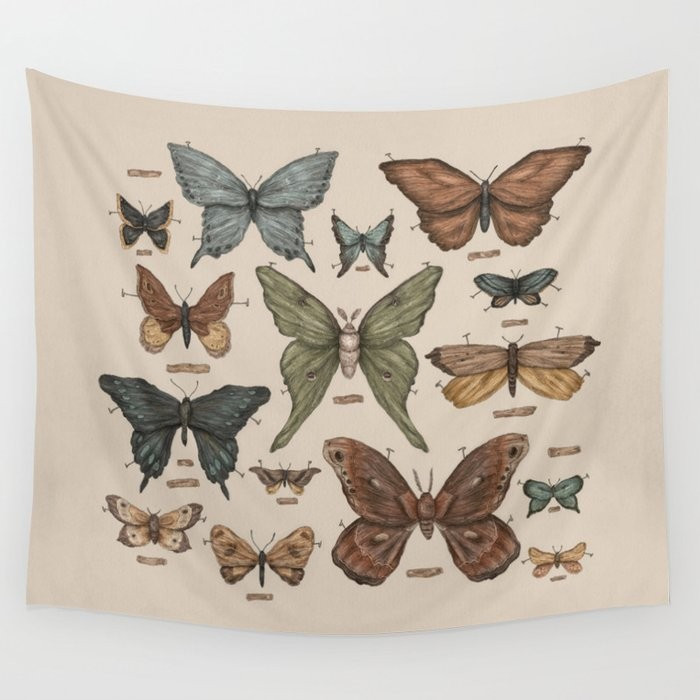 Butterflies and Moth Specimens Wall Tapestry by Jessica Roux | Society6
