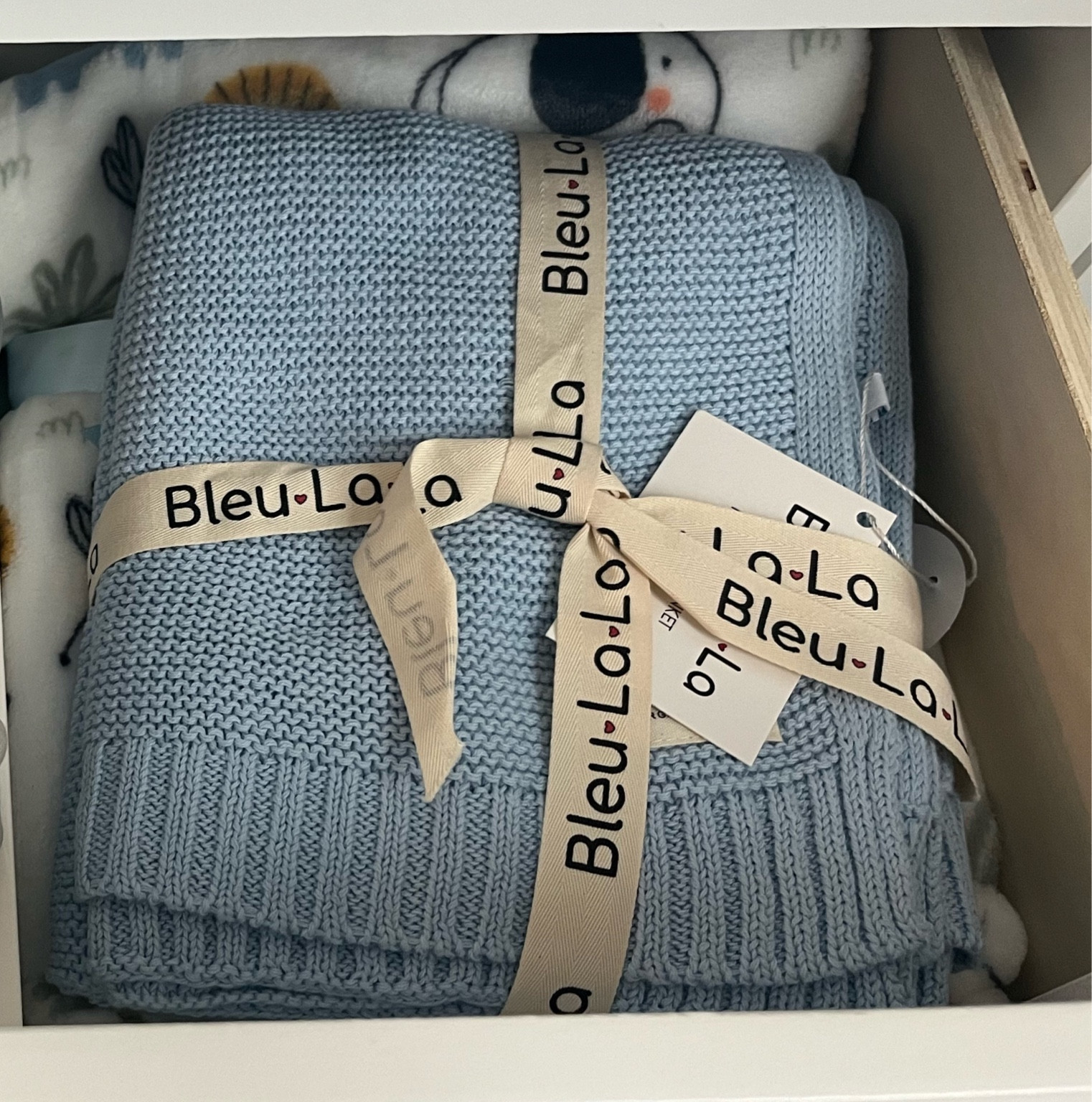 Baby boy blanket from Amazon💙 This brand has some really cute blankets for babies🥹 It makes a great holiday gift for babies and toddlers! 

#LTKGiftGuide #LTKfindsunder50 #LTKbaby