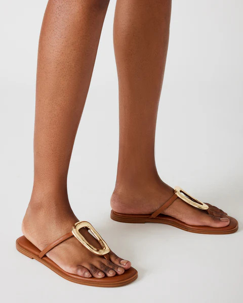 KNOLA COGNAC LEATHER | Steve Madden (US)