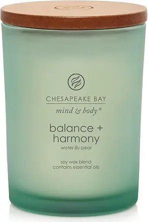 Chesapeake Bay Balance + Harmony Scented Candle Water Lily Pear Fragrance 50 Hours Burn Time Warm... | Amazon (US)