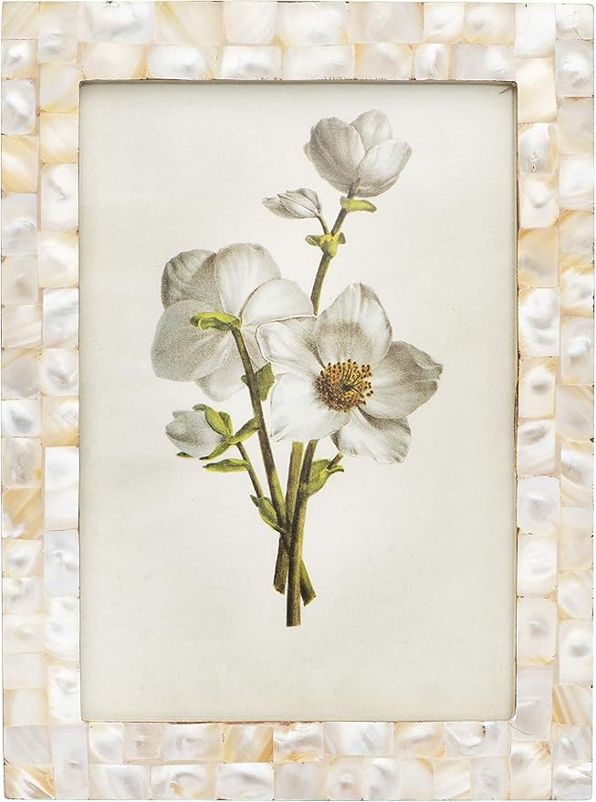 Creative Co-Op Mother of Pearl Photo Frame (Holds 5" x 7" Photo) | Amazon (US)