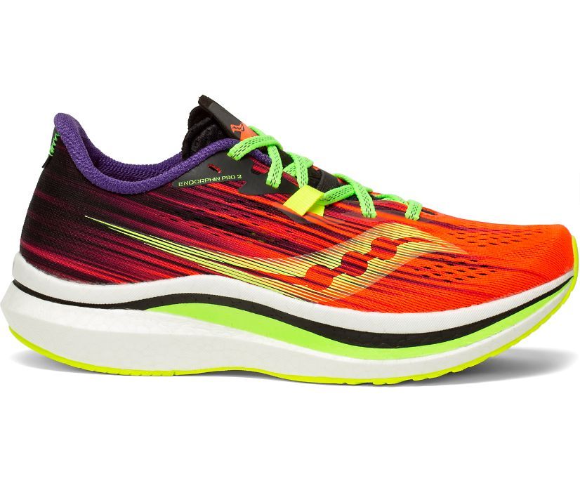 WOMEN'S VIZIPRO ENDORPHIN PRO 2 | Saucony (US)