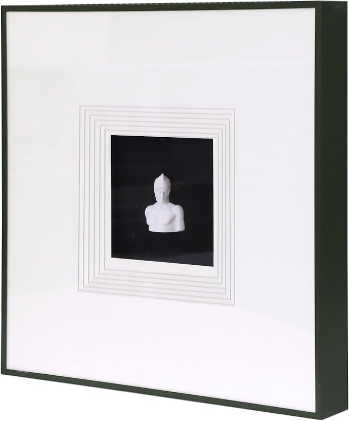 Sculpture Wall Art,French Vintage Decor with Framed,Aesthetic Black Paintings for Home Living Roo... | Amazon (US)