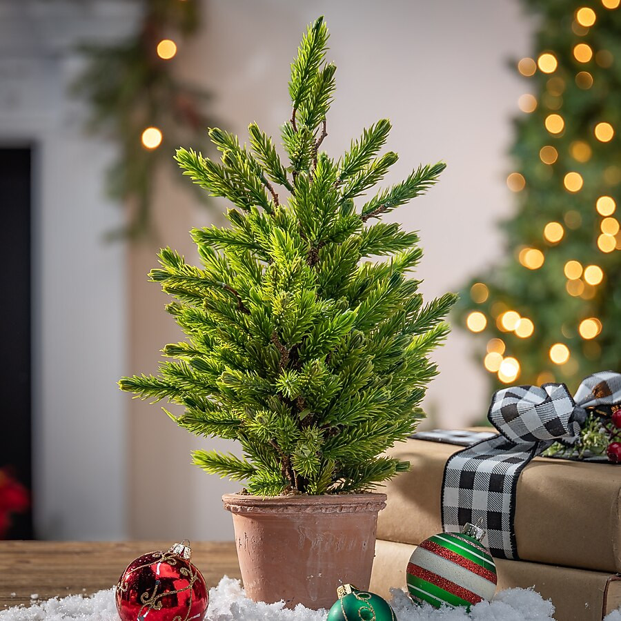 Gerson International 1.5-ft Pine Artificial Christmas Tree | Lowe's