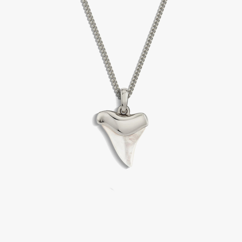 Shark Tooth Necklace | Awe Inspired