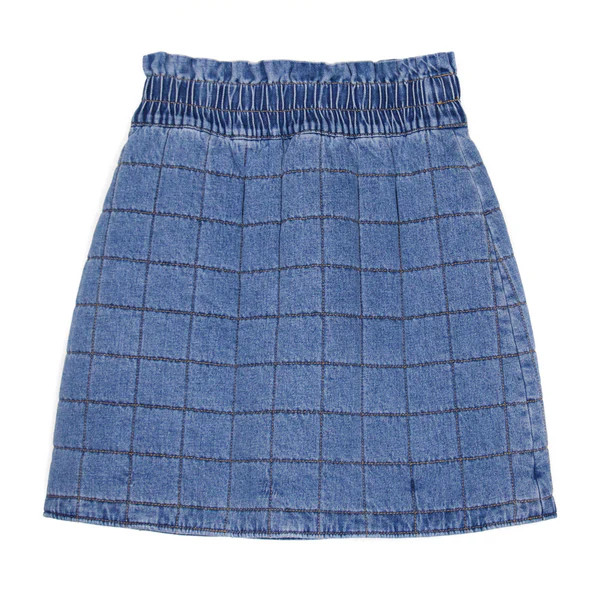 Vida Skirt, Denim | The Avenue