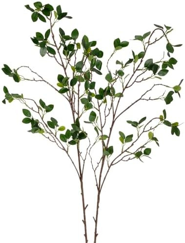 2Pcs Artificial Stems Faux Branches for Vase 43 inch Greenery Stems for Vase for Home Party Weddi... | Amazon (US)