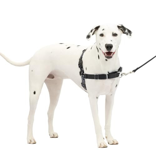 PetSafe Easy Walk No-Pull Dog Harness - The Ultimate Harness to Help Stop Pulling - Take Control & Teach Better Leash Manners - Helps Prevent Pets Pulling on Walks, Medium/Large, Charcoal/Black | Amazon (US)