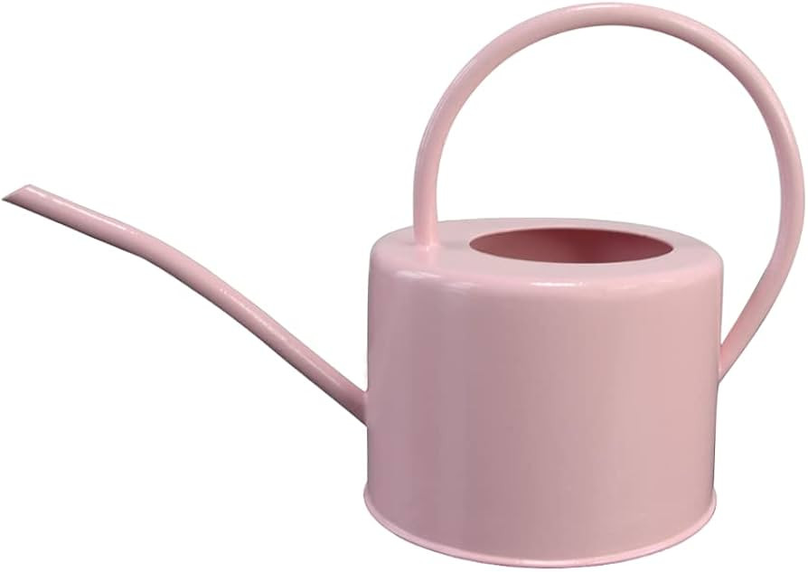 Galvanized Metal Watering Can with Long Spout, 1L Small Retro Design Watering Can for Outdoor Indoor | Amazon (US)