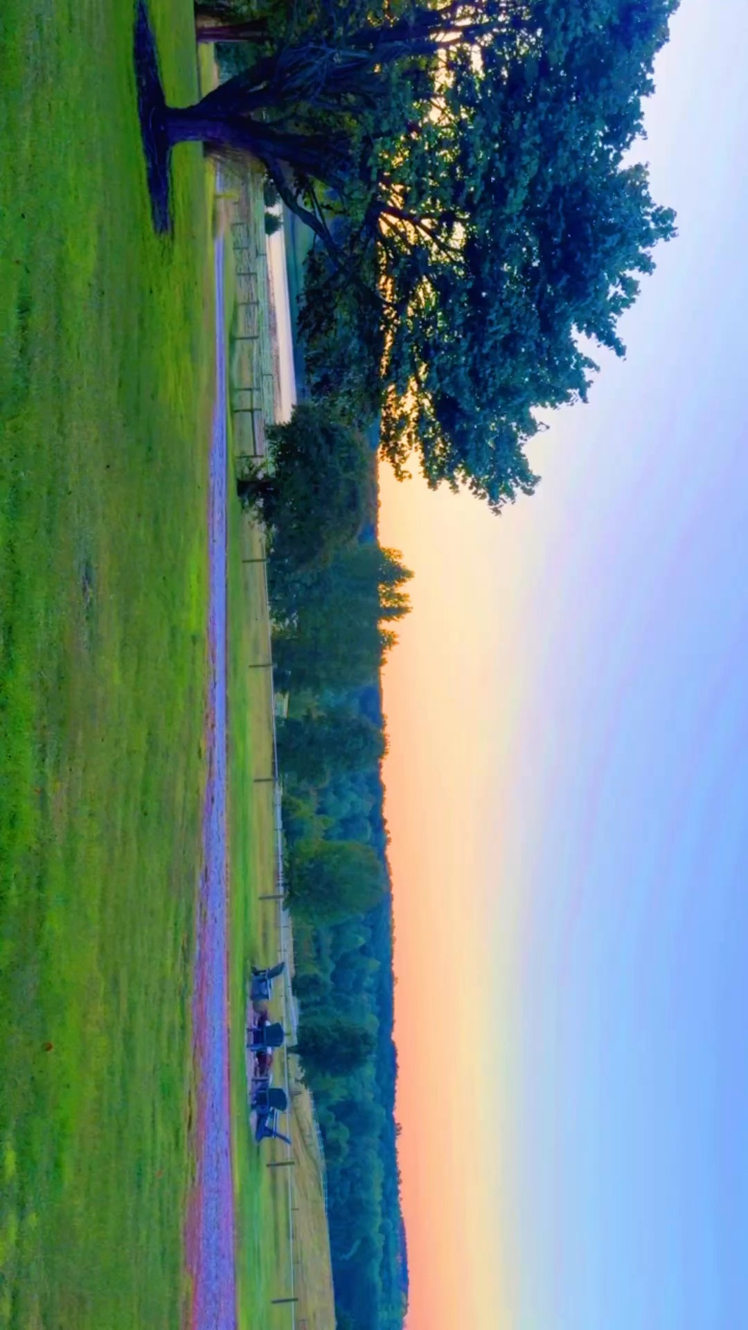Beautiful mornin’ on the farm 🫶🏽 before we head out the door 🚪 to meet a sweet friend for coffee ☕️  and then local Bible study 📖 group (& nursery/preschool 💒 classes 🍎 for the boys)!! Happy Wednesday, y’all!! 🌅