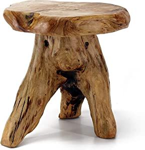 Amazon.com : WELLAND Tree Stump Stool Live Edge, Natural Edge Side Table, Plant Stand, Nightstand... | Amazon (US)