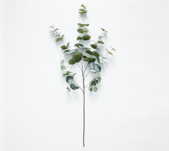 Faux Baby Blue Eucalyptus Branch | Pottery Barn (US)