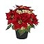 Fake Poinsettia Plants with Red Berry 14 Inch Poinsettias Artificial Christmas Flowers in Pot for... | Amazon (US)
