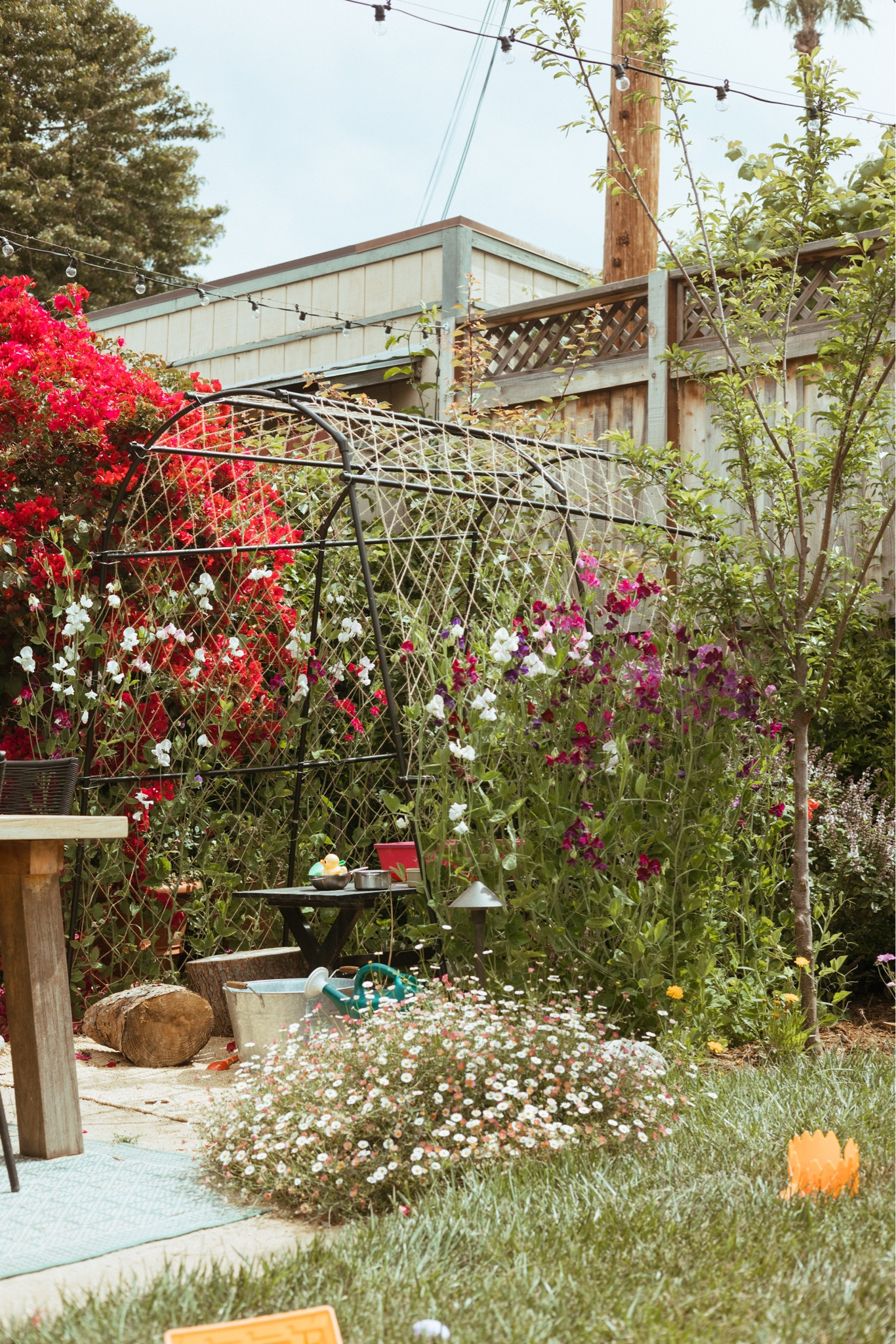 Just add sweet peas from @sandiegoseedcompany and some logs as seats!