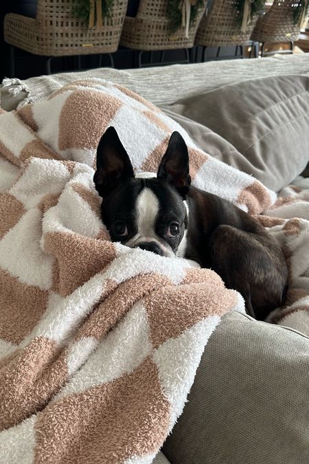 Our favorite blanket (and Bruce’s 🐾) is 20% off for cyber week! 

#LTKGiftGuide #LTKCyberWeek #LTKhome