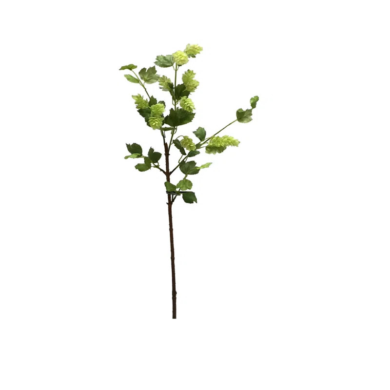 Hop Stem (Set of 3) | Wayfair North America
