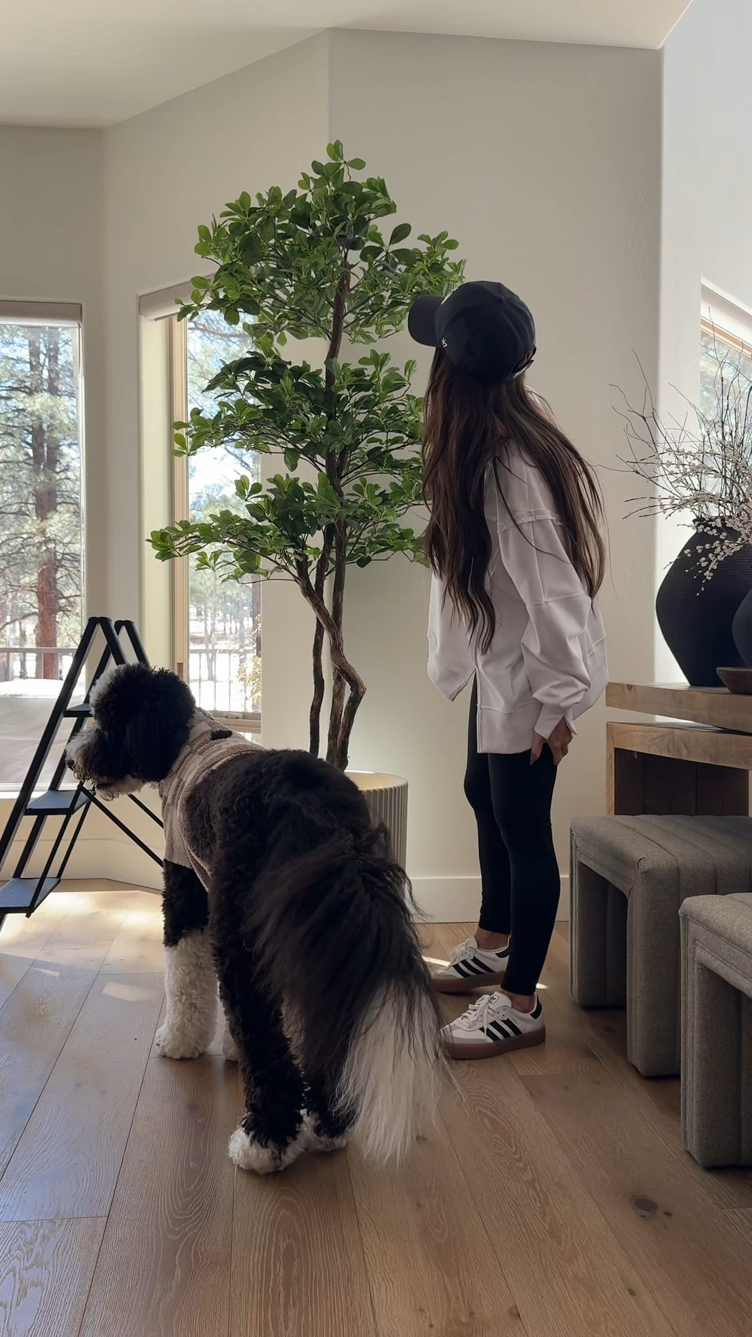 I love how unique this faux tree is instantly elevates any space in your home
Fluted planter, remote control tree light, I used risers to protect my wood floor
Amazon home, interior decoration ideas, modern organic home 


#LTKSaleAlert #LTKHome #LTKootd