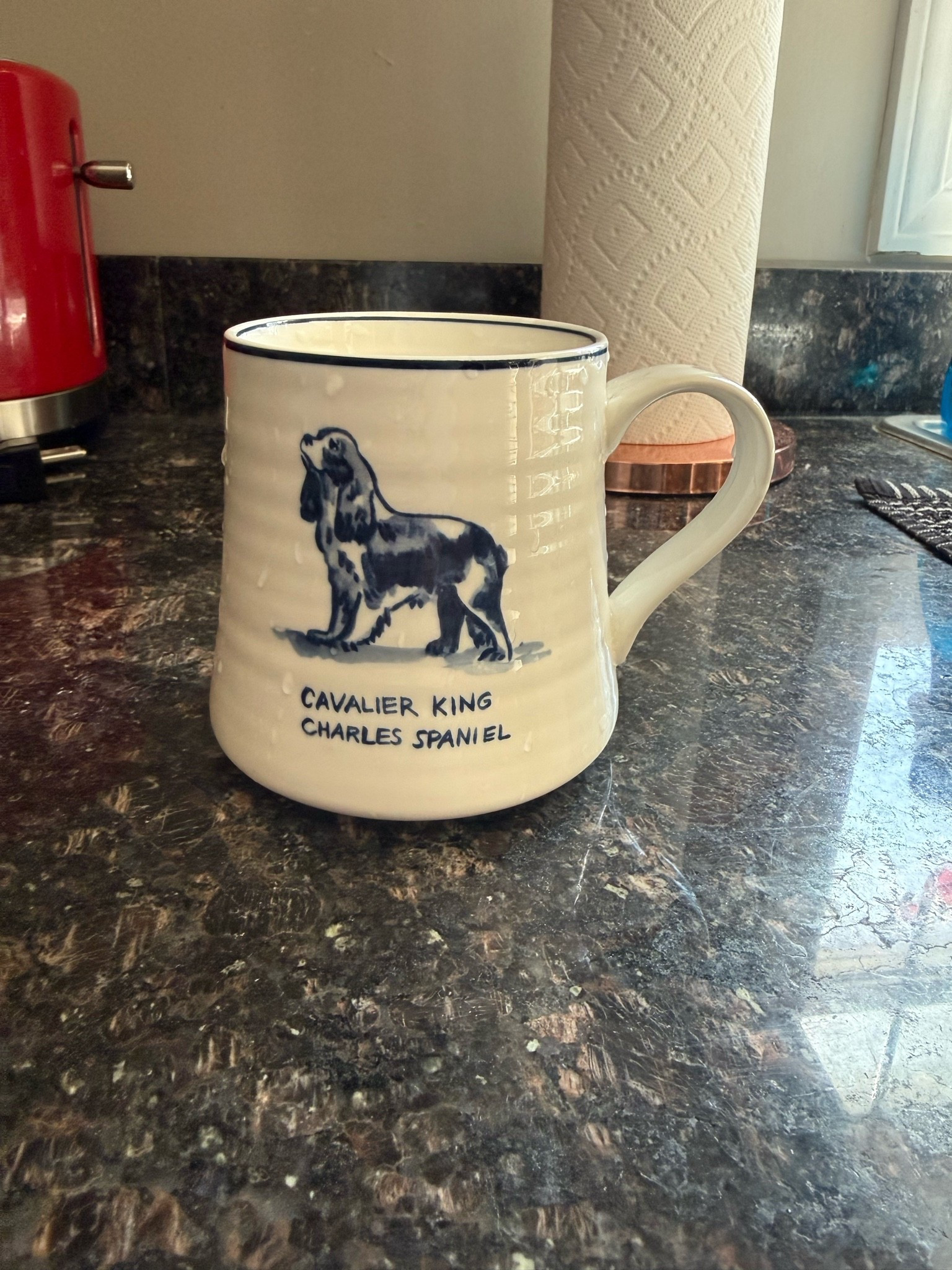 Necessary for my fellow Cavalier King Charles Spaniel moms

#LTKmorningroutine