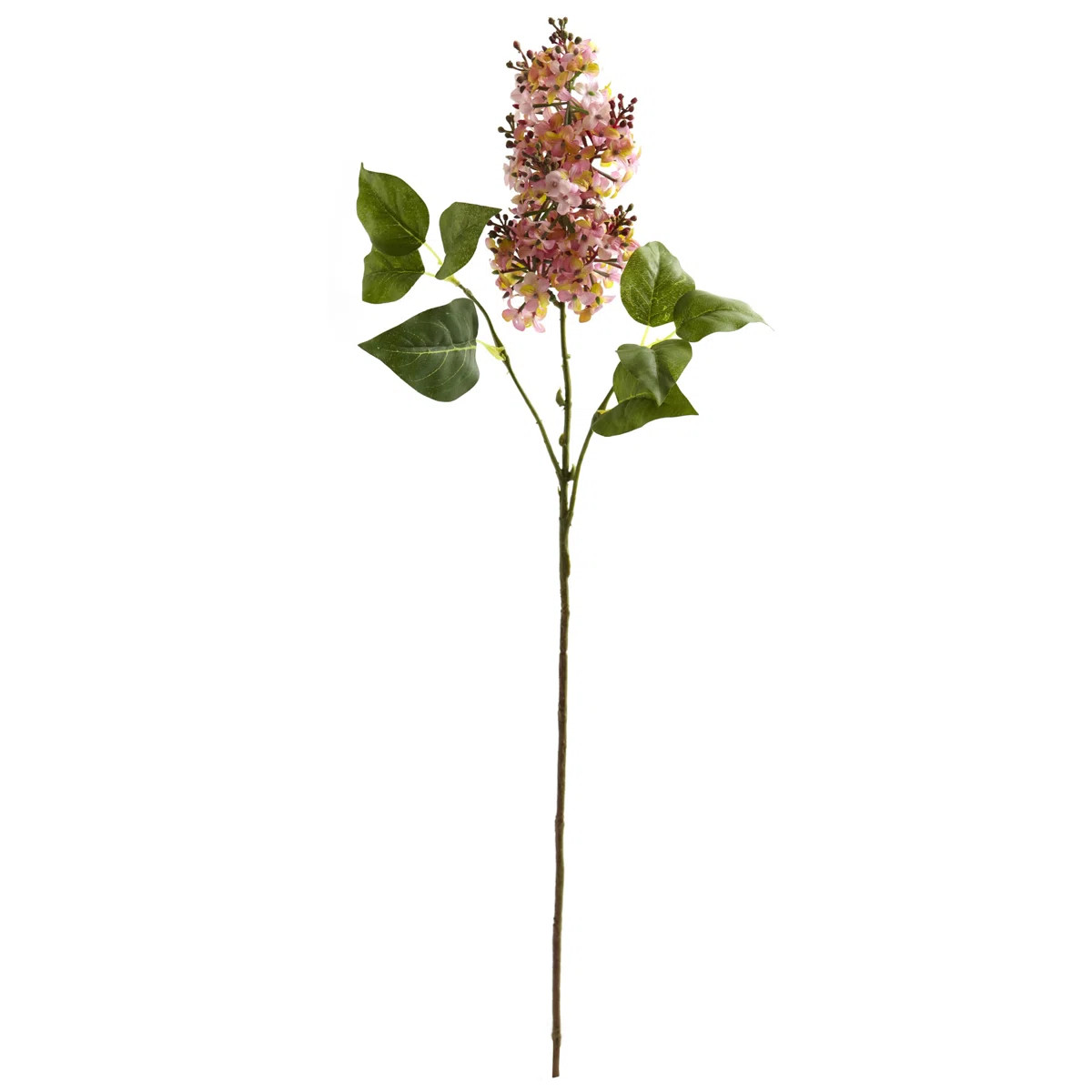 Birch Lane™ | Wayfair North America