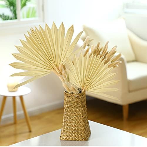 Nuanchu Dried Palm Leaves 2 Pieces Natural Dried Palm Fans 50 Pieces Dried Lagurus Ovatus Boho Decor | Amazon (US)