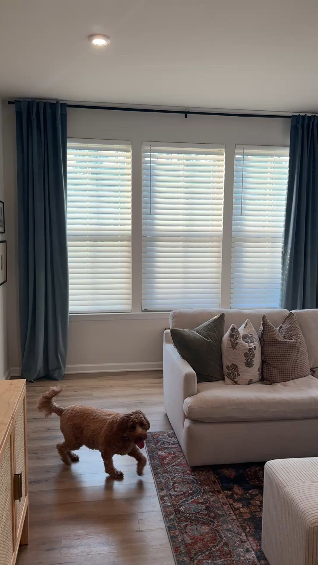 The most perfect blue curtains 

Color: Denmark blue

#LTKFindsUnder50 #LTKHome