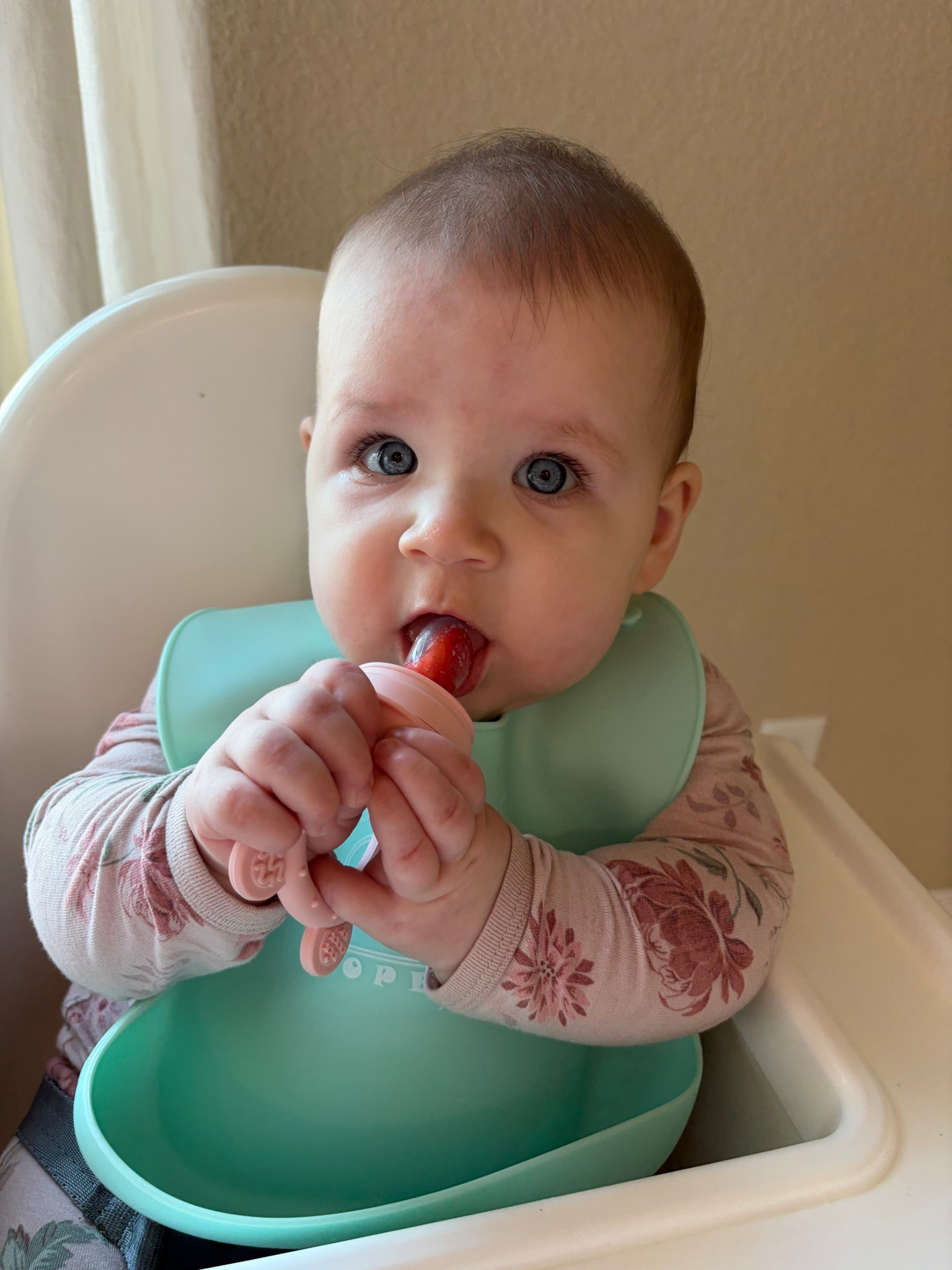 Such a great teether feeder for trying new foods! 

Baby food. Baby toy. Teething. New foods. Registry. Baby gift. 

#LTKBump #LTKmomlife #LTKBaby