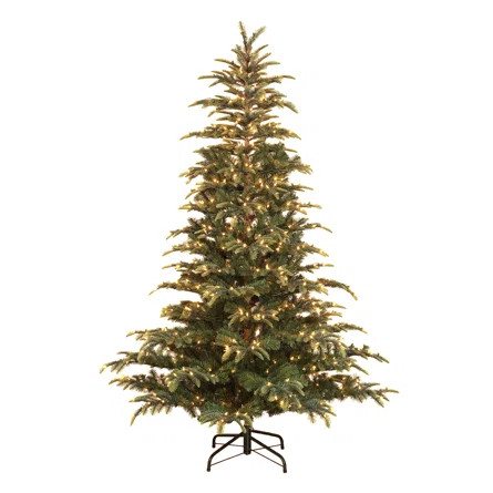 The Holiday Aisle® Puleo International Foot Artificial Prelit Montclair Fir Christmas Tree | Way... | Wayfair Professional