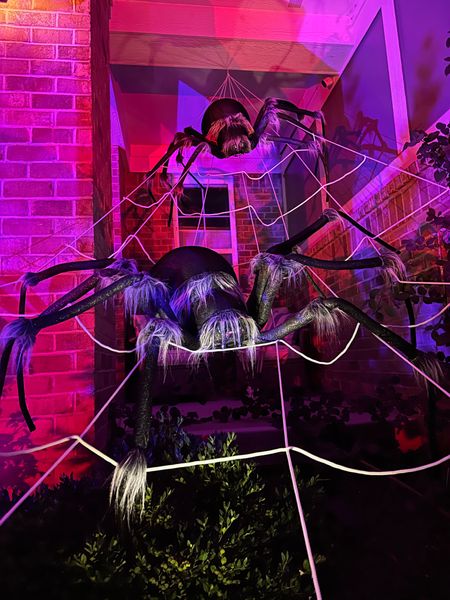 Outdoor Halloween spider and spider web decorations 

#LTKSeasonal #LTKHalloween #LTKHoliday