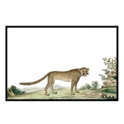Vintage Cheetah | Urban Garden Prints