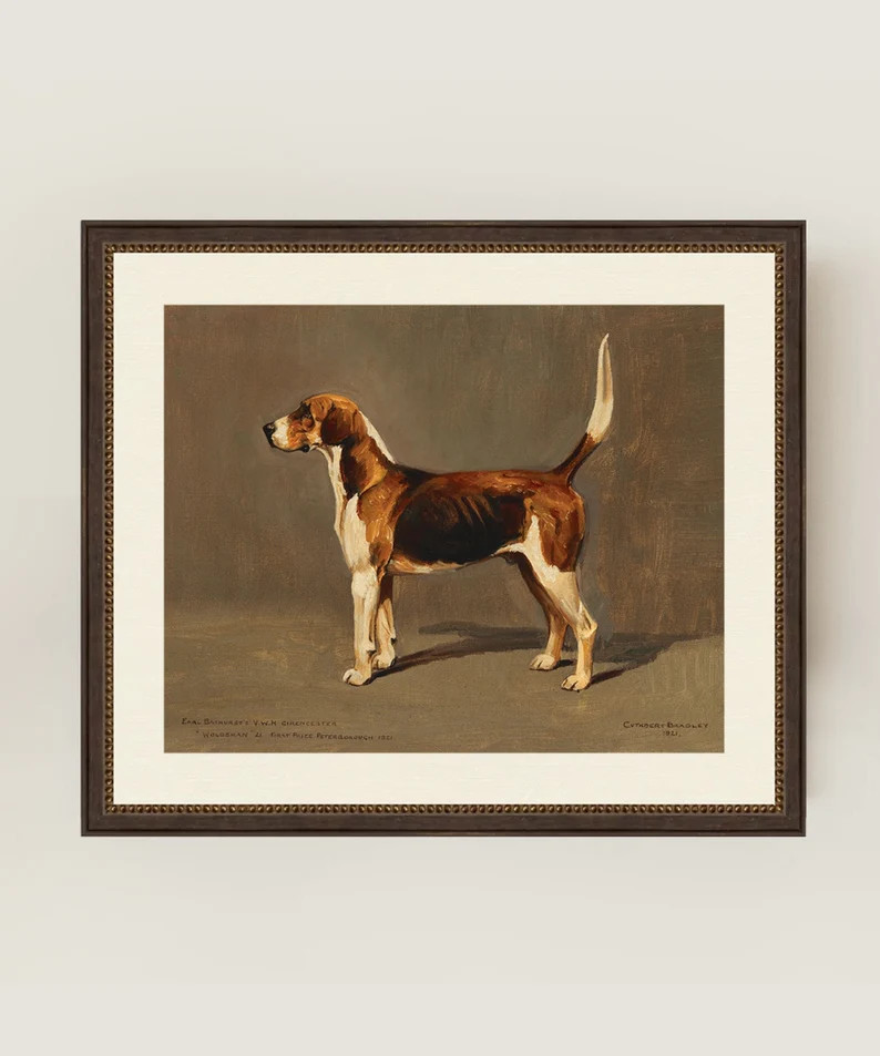 Portrait of A Hound Dog | Vintage Dog Painting | Sporting Art | Vintage Equestrian Home Decor | F... | Etsy (US)