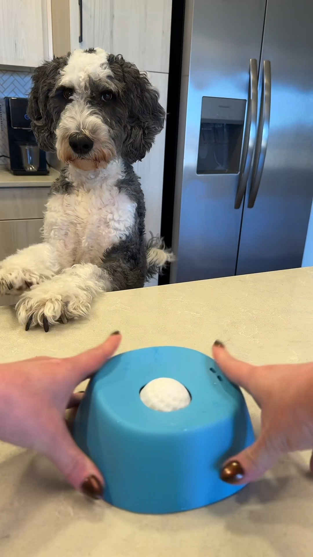The one dog enrichment toy that will keep your pup busy and sooth their anxiety. 

Dog toys, dog treats, dog products, dog food, dog owner, organic dog food, healthy dog food, anxious dog, bored dog 