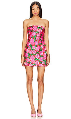 Show Me Your Mumu Taylor Tube Mini Dress in Rosie Blooms from Revolve.com | Revolve Clothing (Global)