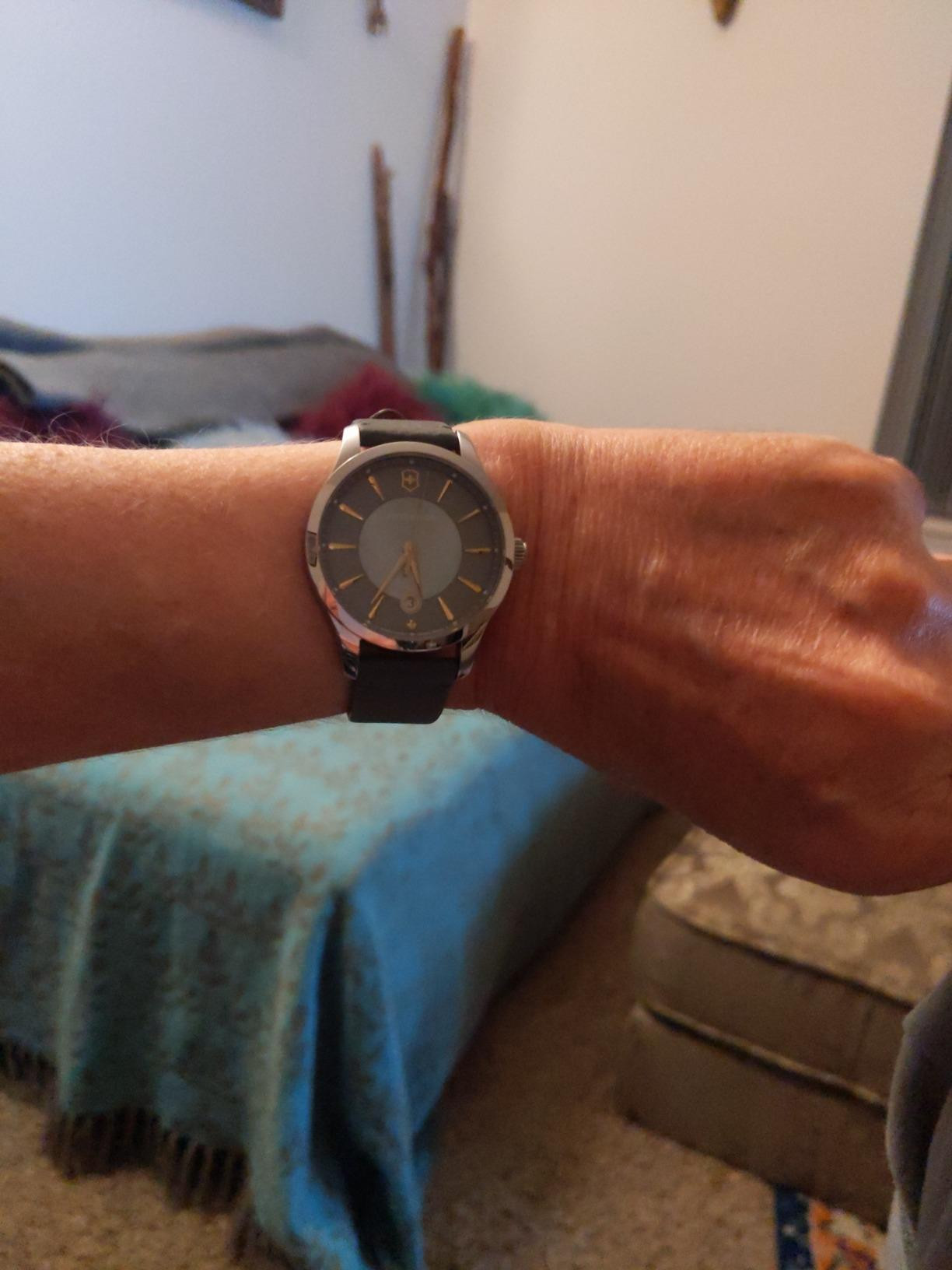 Victorinox Women's Alliance Quartz Stainless-Steel | Amazon (US)