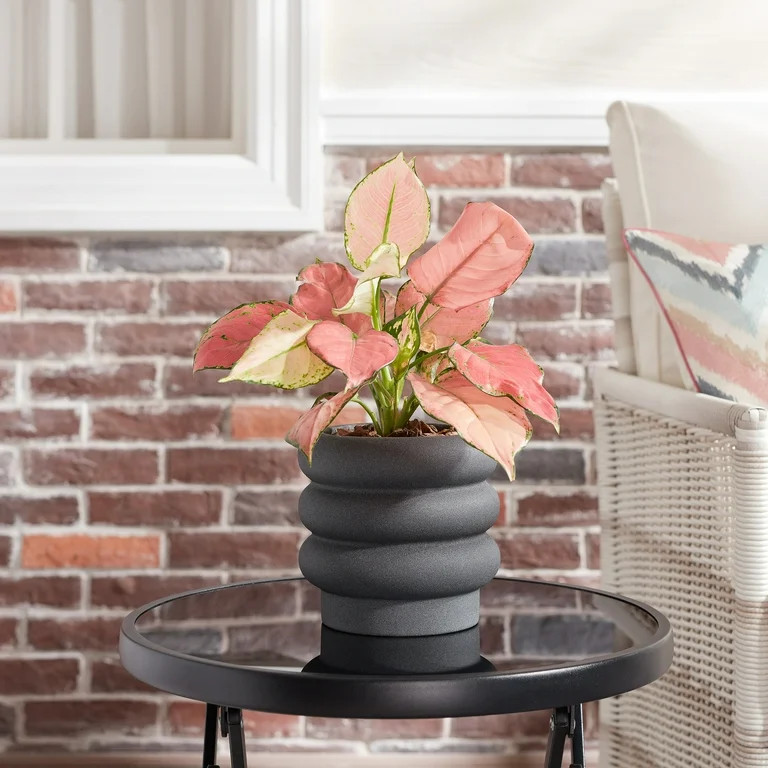 Better Homes & Gardens Pottery 6" Chinooke Ceramic Bubble Planter, Black | Walmart (US)