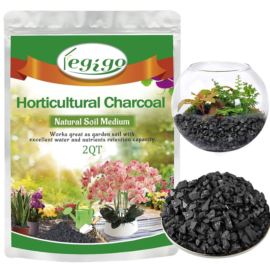 Legigo 2 QT Horticultural Charcoal- Activated Charcoal for Plants, Biochar Soil Amendment for Ind... | Amazon (US)