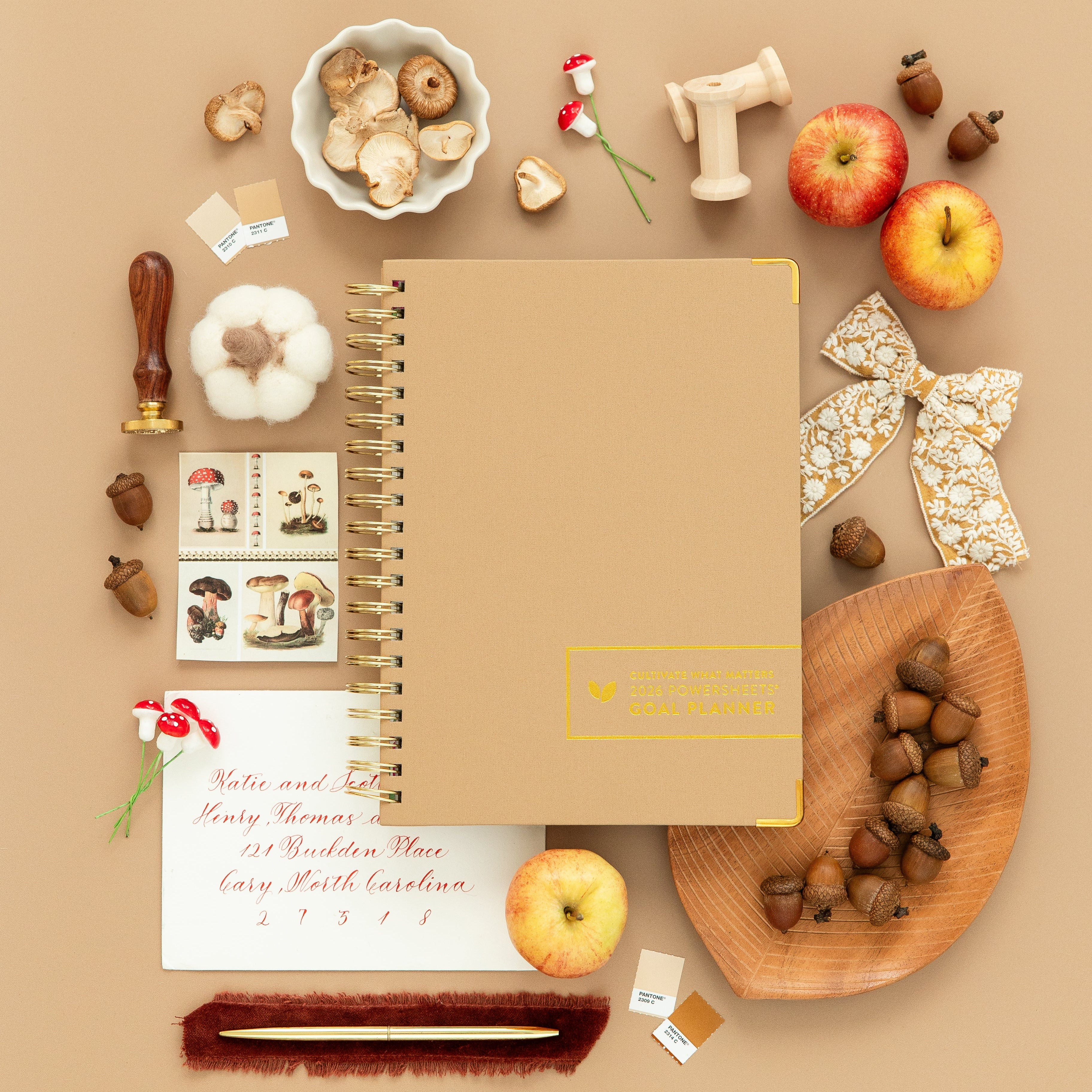 2026 One-Year PowerSheets® Goal Planner | Acorn | Cultivate What Matters