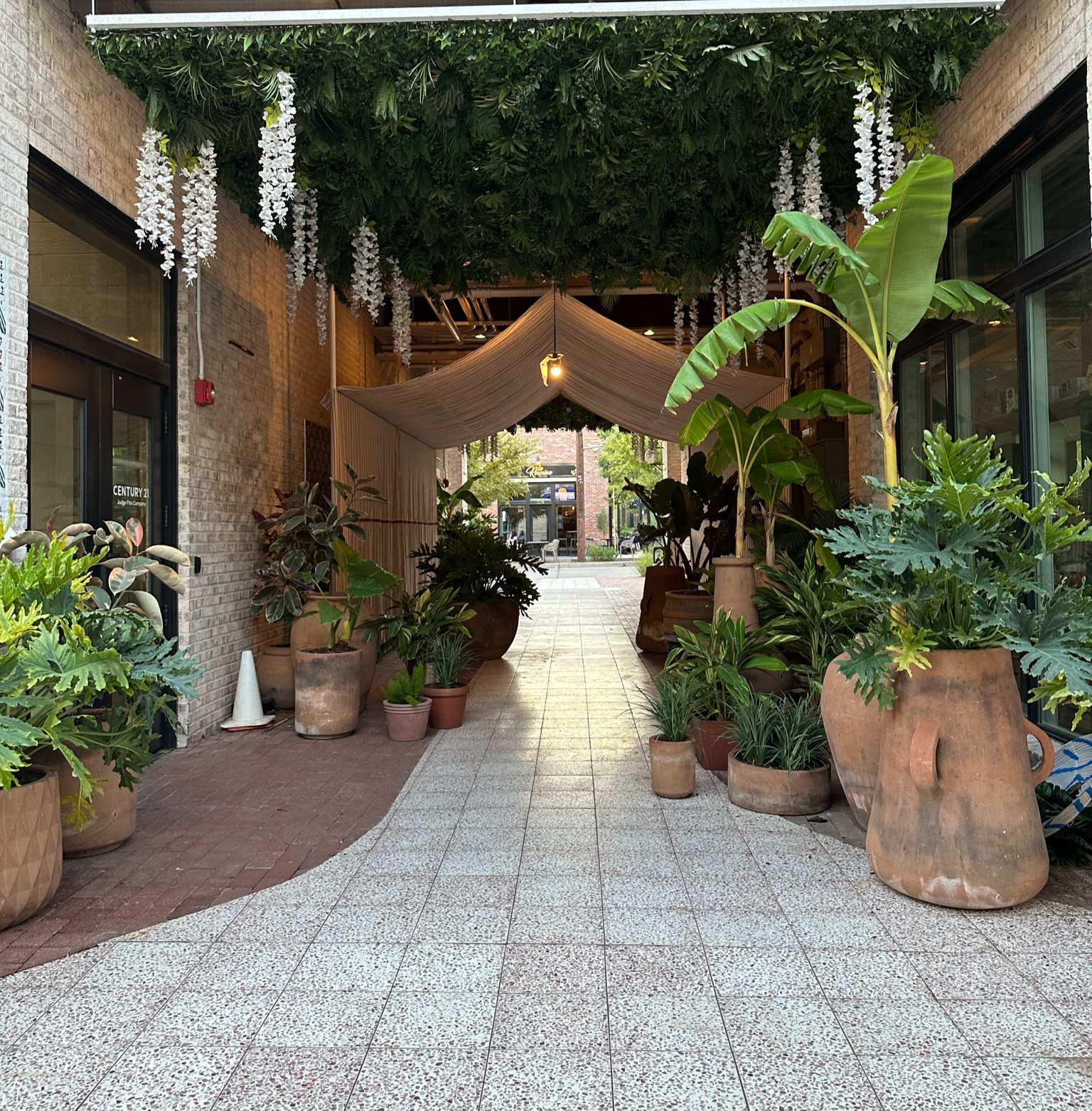 Fall home decor
Home decor
Boho
Plants
Houseplants
Plant pots 


#LTKFallSale #LTKHome