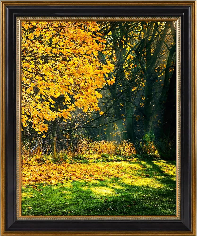 Space Art Deco, 16x20 Picture Frame without Mat for 16x20 Poster/Photo/Print, Shatter-Resistant R... | Amazon (US)