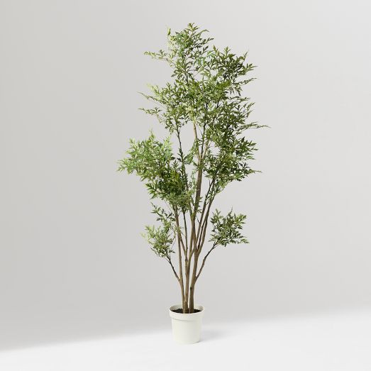 Faux Potted Phoenix Tree | West Elm (US)